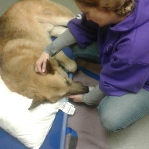 Meet your Posher, Jenn